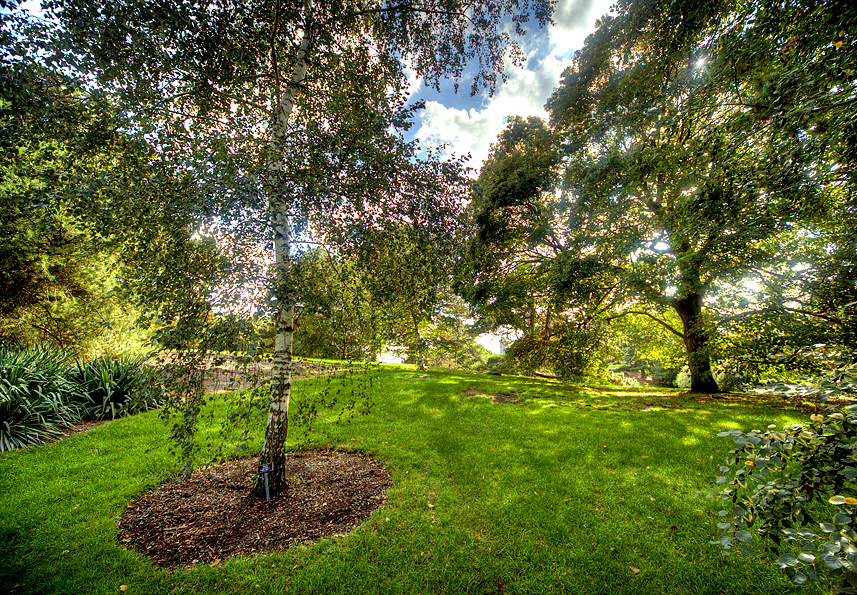 Bronx Botanical Garden