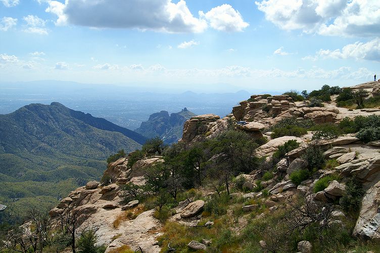 Mount Lemmon #11