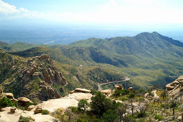 Mount Lemmon #12
