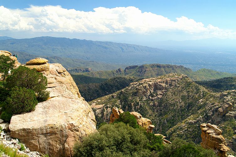 Mount Lemmon #14