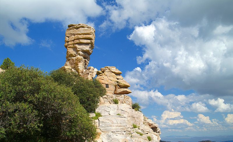 Mount Lemmon #15