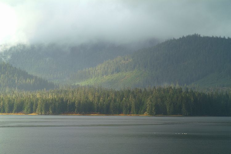 View of Kupreanof Isand #1