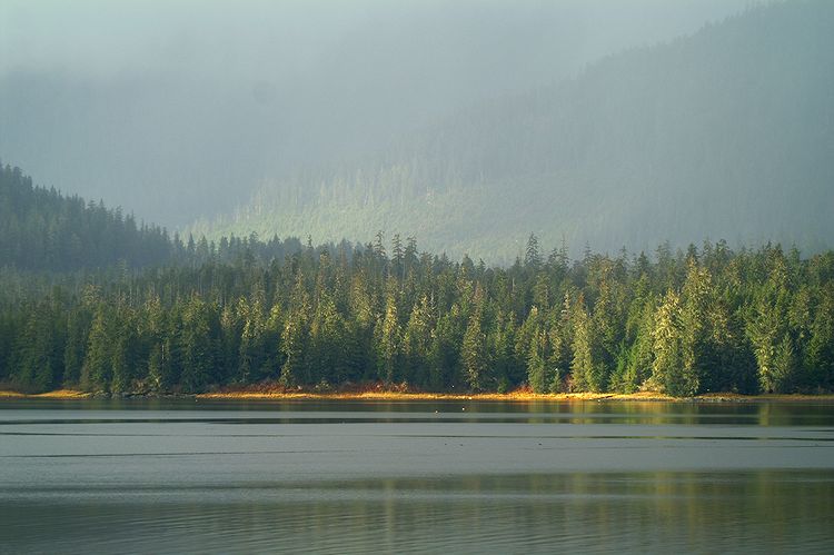View of Kupreanof Island #4