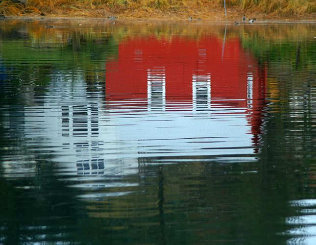 Harbor Reflection