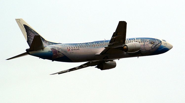 Salmon Plane