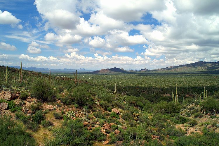 Tucson Mountain Park #16