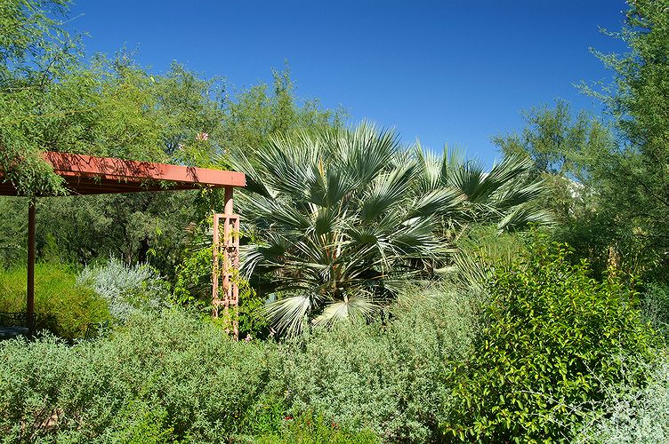 Tucson Botanical Garden #3
