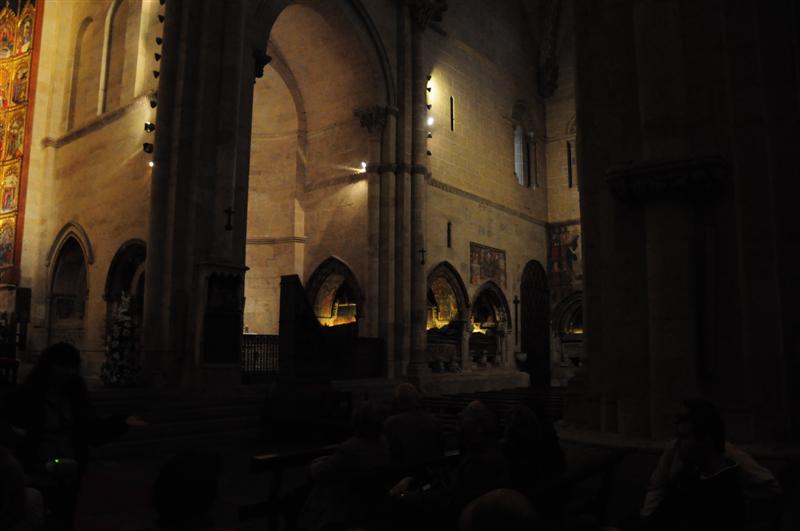 DSC_0413 (Medium).JPG