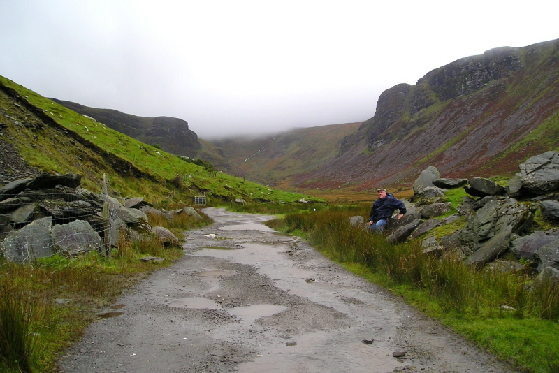 Blending in with the Irish scenery