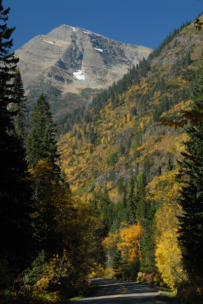 DSC_1648_resize.JPG