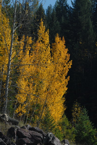 DSC_1678_resize.JPG