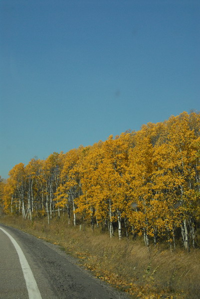 DSC_1690_resize.JPG