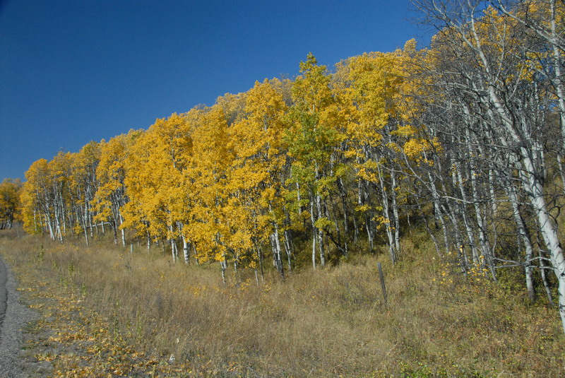 DSC_1721_resize.JPG