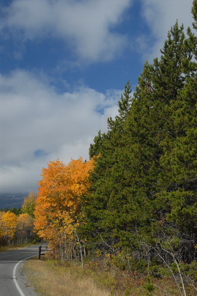 DSC_1880_resize.JPG