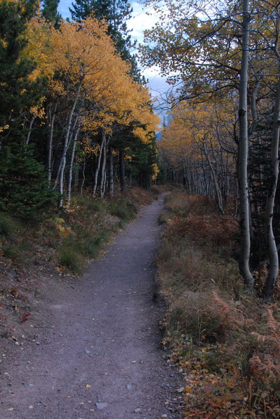 DSC_1980_resize.JPG