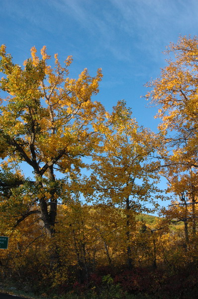 DSC_3759_resize.JPG