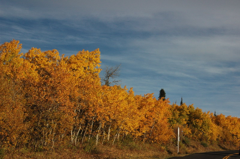 DSC_3781_resize.JPG