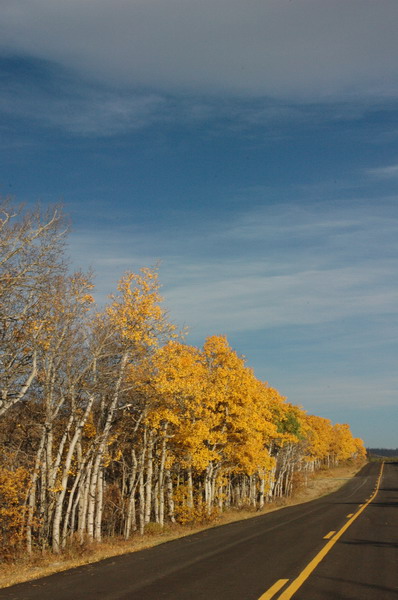 DSC_3796_resize.JPG
