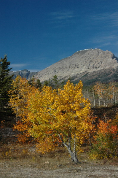 DSC_3799_resize.JPG