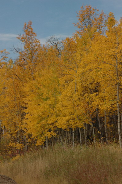 DSC_3804_resize.JPG