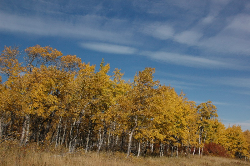 DSC_3963_resize.JPG