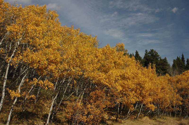 DSC_4006_resize.JPG