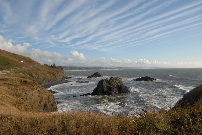 DSC_2598_resize.JPG
