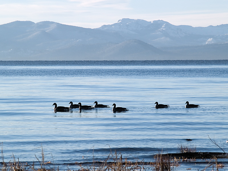 Morning at Lake Tahoe