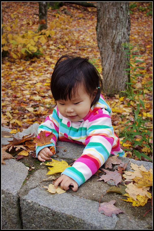 IMGP4503_1.jpg