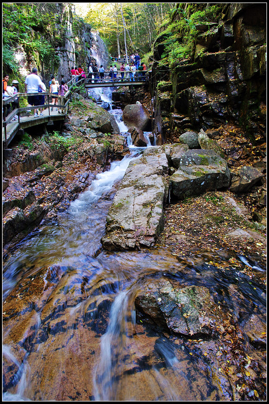 IMGP3900_1.jpg