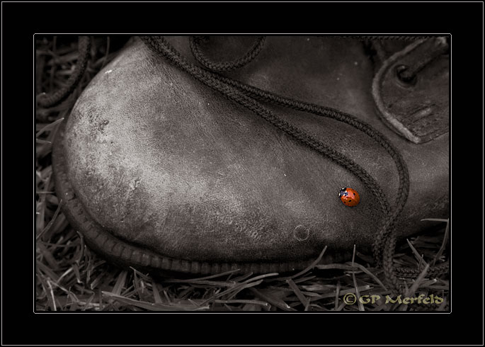 Combat Boot With Ladybug