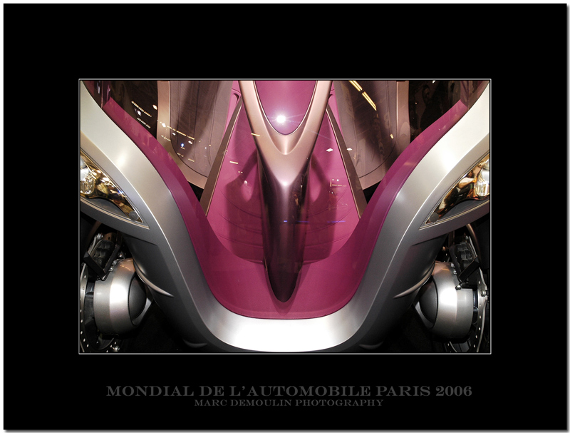 Mondial de lAutomobile Paris 2006 - 39