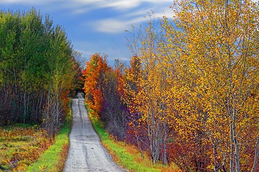 Autumn Backroad 23231