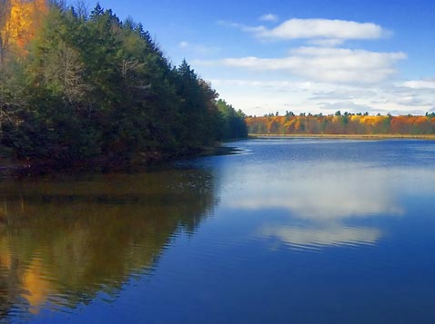 Jones Creek 8785