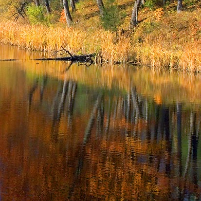 Jones Creek Reflections 8782