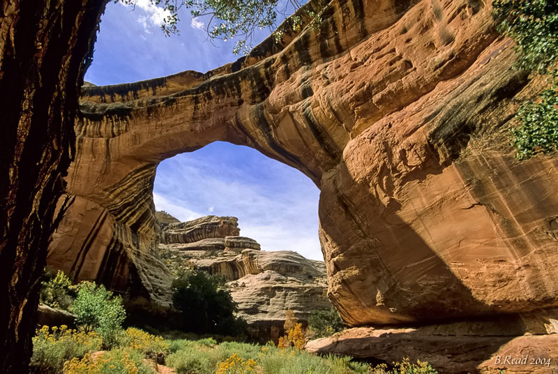 Natural Bridges