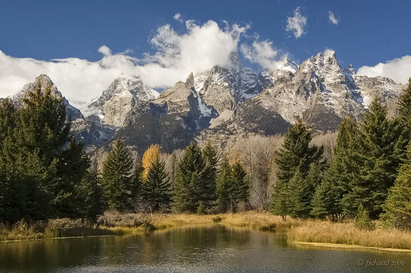 Clearing Over Schwabacher