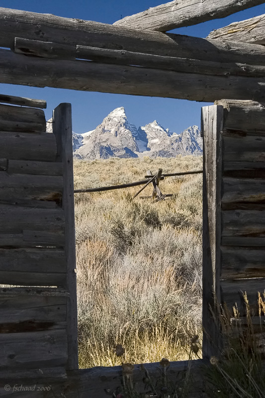 Cabin View