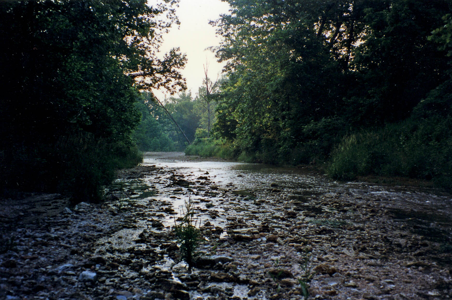 Early Morning on Blue Springs Creek