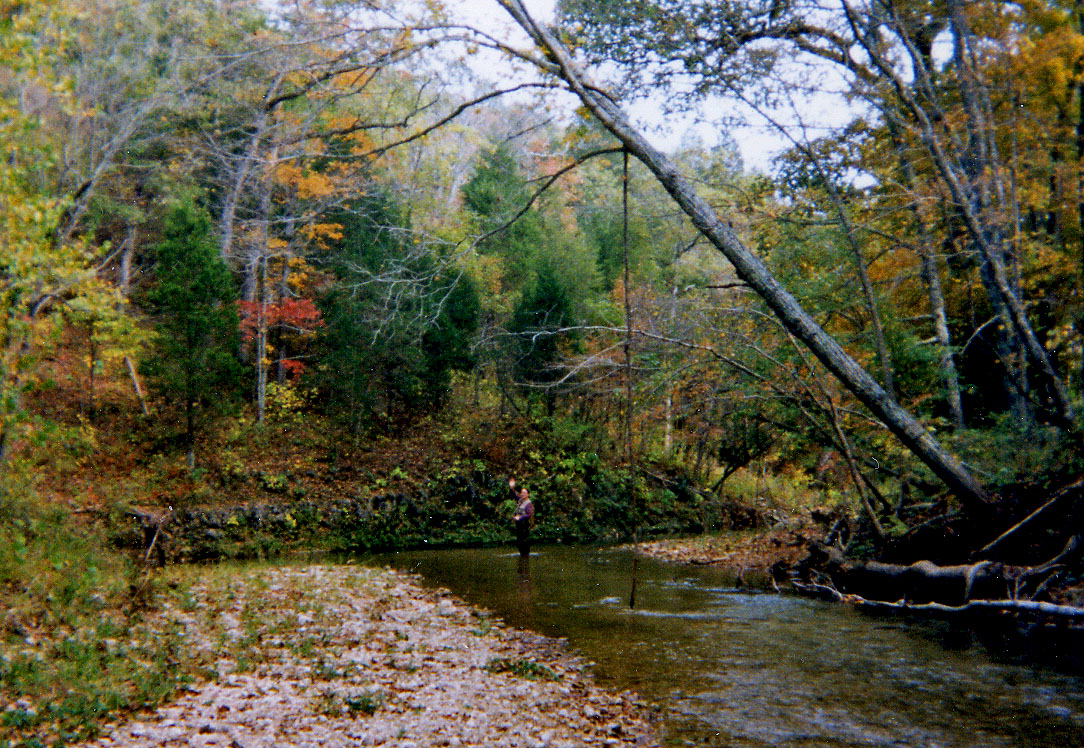 Blue Springs Creek