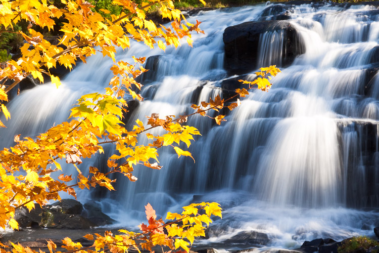 _MG_5377.jpg