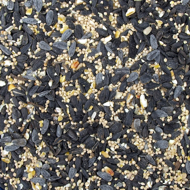 PA261275a.jpg