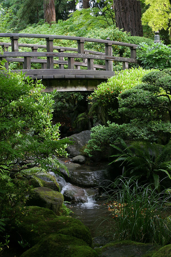 bridge vertical