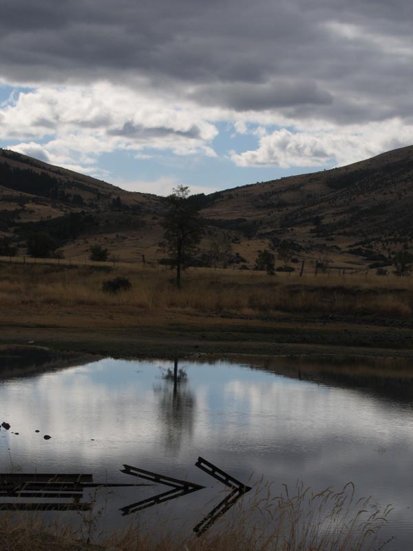 lake near Cove