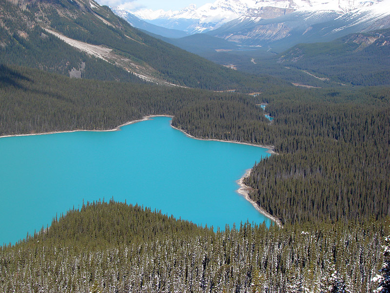 Peyto Lake