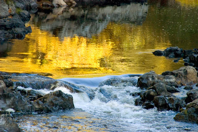 Golden Water
