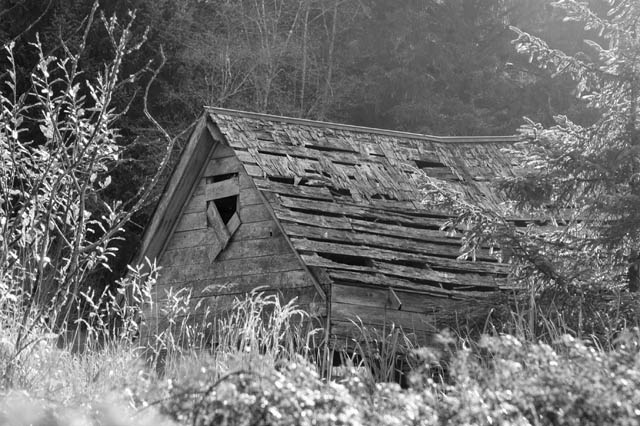 Rambling Shack