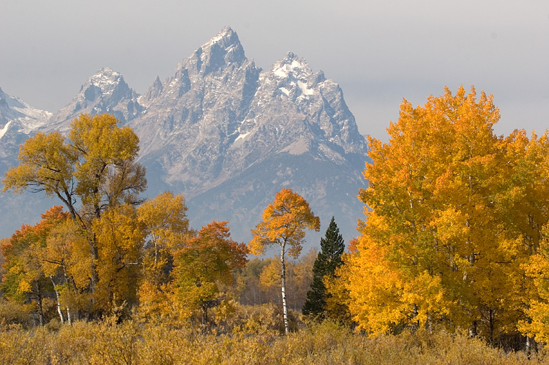 10-4-6 Hazy Mountain