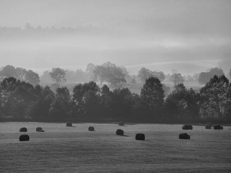 JPG BW CS Bales In Mist P9170216.jpg