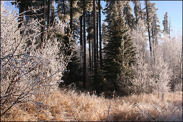 sunny winters day